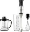 Купить Погружной блендер Taurus Bapi 1200 Premium Plus Inox