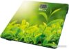 Купить Напольные весы Sakura SA-5071GR