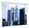 Купить Проекционный экран Lumien Eco Picture (LEP-100102)