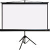 Купить Проекционный экран PL Magna TRM-PC-113D