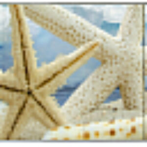 Экран для ванны Морская звезда 3D 150x50 21век