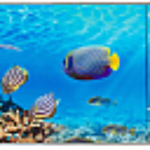 Экран для ванны Морское дно 3D 150x50 21век