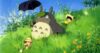 Студия Ghibli получит Золотую пальмовую ветвь Каннского фестиваля: впервые в истории награду дадут киностудии