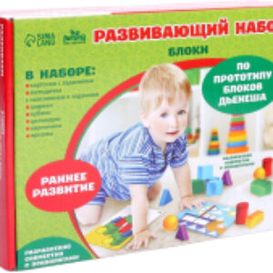 Развивающий игровой набор Блоки / 4177050 21век