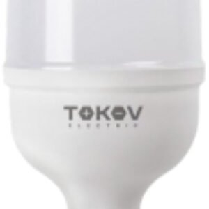 Лампа 50Вт HP 6500К Е40/Е27 176-264В / TKE-HP-E40/E27-50-6.5K 21век