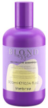 Оттеночный шампунь для волос Blondesse No Yellow Антижелтый 21век