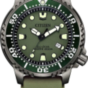 Часы наручные мужские BN0157-11X 21век