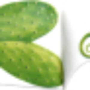 Сервировочная лопатка для торта Cactus 5-5-96 21век