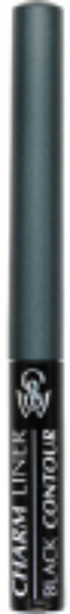 Подводка для глаз жидкая Charm Liner Black Contour LCL2-01 21век