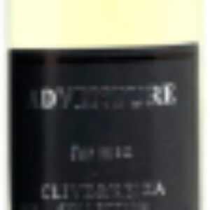 Парфюмерная вода Chypre Fruity M 1023 21век