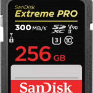 Карта памяти Extreme Pro SDXC 256GB (SDSDXDK-256G-GN4IN) 21век