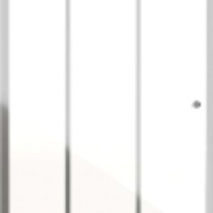 Душевая дверь Falcon GR-D100 100x190 21век