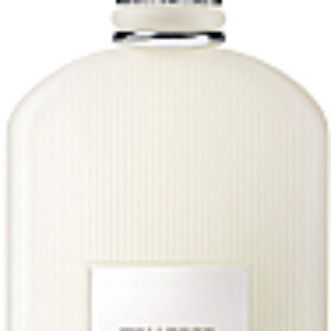Парфюмерная вода Grey Vetiver 21век