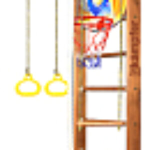 Детский спортивный комплекс Helena Ceiling Basketball Shield 21век