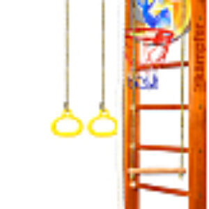 Детский спортивный комплекс Helena Ceiling Basketball Shield 21век