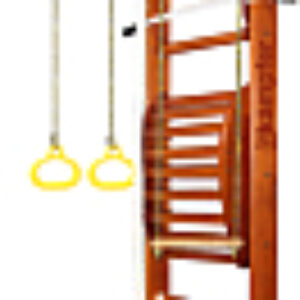 Детский спортивный комплекс Helena Maxi Ceiling 21век