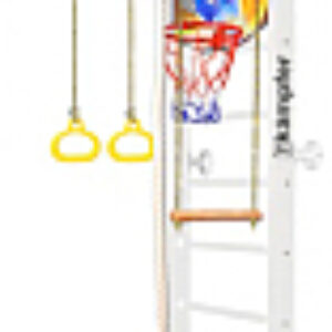 Детский спортивный комплекс Helena Wall Basketball Shield 21век