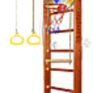 Детский спортивный комплекс Helena Wall Basketball Shield 21век