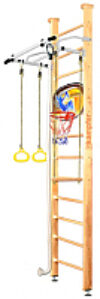 Детский спортивный комплекс Helena Wall Basketball Shield 21век