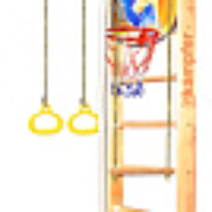 Детский спортивный комплекс Helena Wall Basketball Shield 21век