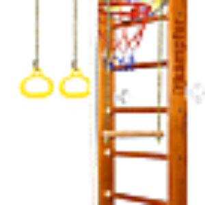 Детский спортивный комплекс Helena Wall Basketball Shield 21век