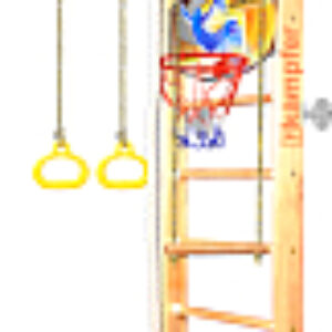 Детский спортивный комплекс Helena Wall Basketball Shield 21век