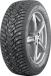 Зимняя шина Nordman 8 205/45R17 88T 21век