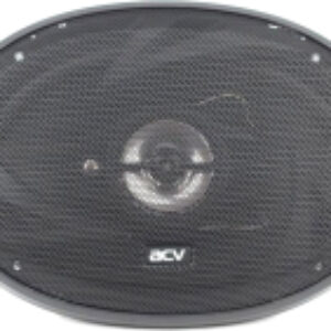 Коаксиальная АС PB-693G 21век
