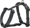 Шлея Premium H-harness 203416 21век