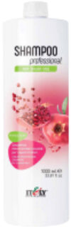 Шампунь для волос Shampoo Professional Pomegranate+Помпа 21век