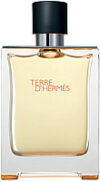 Туалетная вода Terre d'Hermes 21век