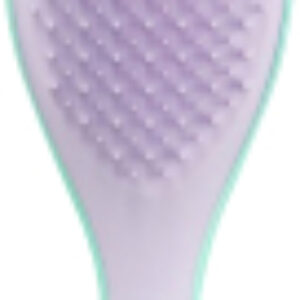 Расческа-массажер The Wet Detangler Mini Wisteria Leaf 21век