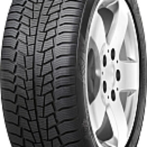Зимняя шина WinTech 245/45R18 100V 21век