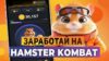 Какая цена будет у Hamster Kombat? Cколько стоит токен хамстер комбат HMSTR?