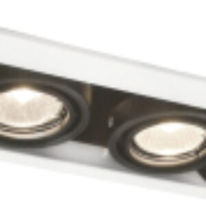 Потолочный светильник Cardani Piccolo A5931PL-2WH 21век