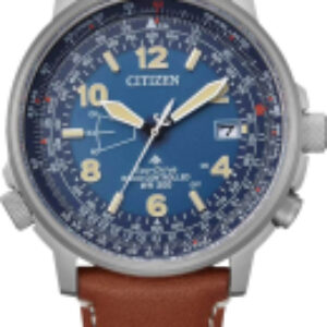 Часы наручные мужские CB0240-11L 21век