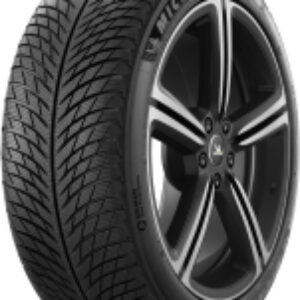 Зимняя шина Pilot Alpin 5 315/30R21 105V 21век