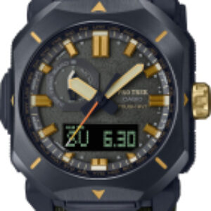 Часы наручные мужские PRW-6900Y-3E 21век