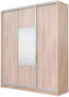 Шкаф-купе 176450 TTX Elgon РГ-09.05 21век