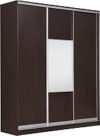 Шкаф-купе 176 VVX Elgon РГ-03.05 21век
