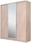 Шкаф-купе 203450 TTX Elgon РГ-02.02 21век