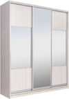 Шкаф-купе 203 YYX Elgon РГ-02.06 21век