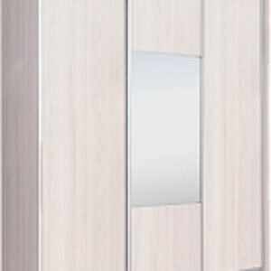 Шкаф-купе 203 YYX Elgon РГ-08.05 21век