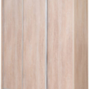 Шкаф-купе 233450 TTX Elgon РГ-01.03 21век
