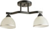 Потолочный светильник BL-8205/2 BK 21век