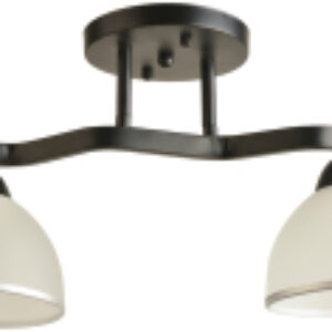 Потолочный светильник BL-8205/2 BK 21век