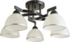 Потолочный светильник BL-8205/5 BK 21век