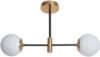Потолочный светильник BL-8316/2 COPPER+BK 21век