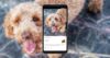 Видео на YouTube можно найти с помощью камеры: Google Lens на YouTube теперь доступен на Android