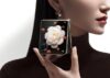 Honor Magic V Flip: раскладушка с внешним дисплеем на 4 дюйма, чипом Snapdragon 8+ Gen 1 и батареей на 4800 мАч за $690
